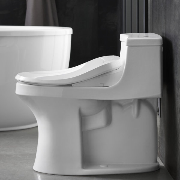 Kohler C3® Toilet Seat Bidet Elongated Bidet Seat & Reviews Wayfair